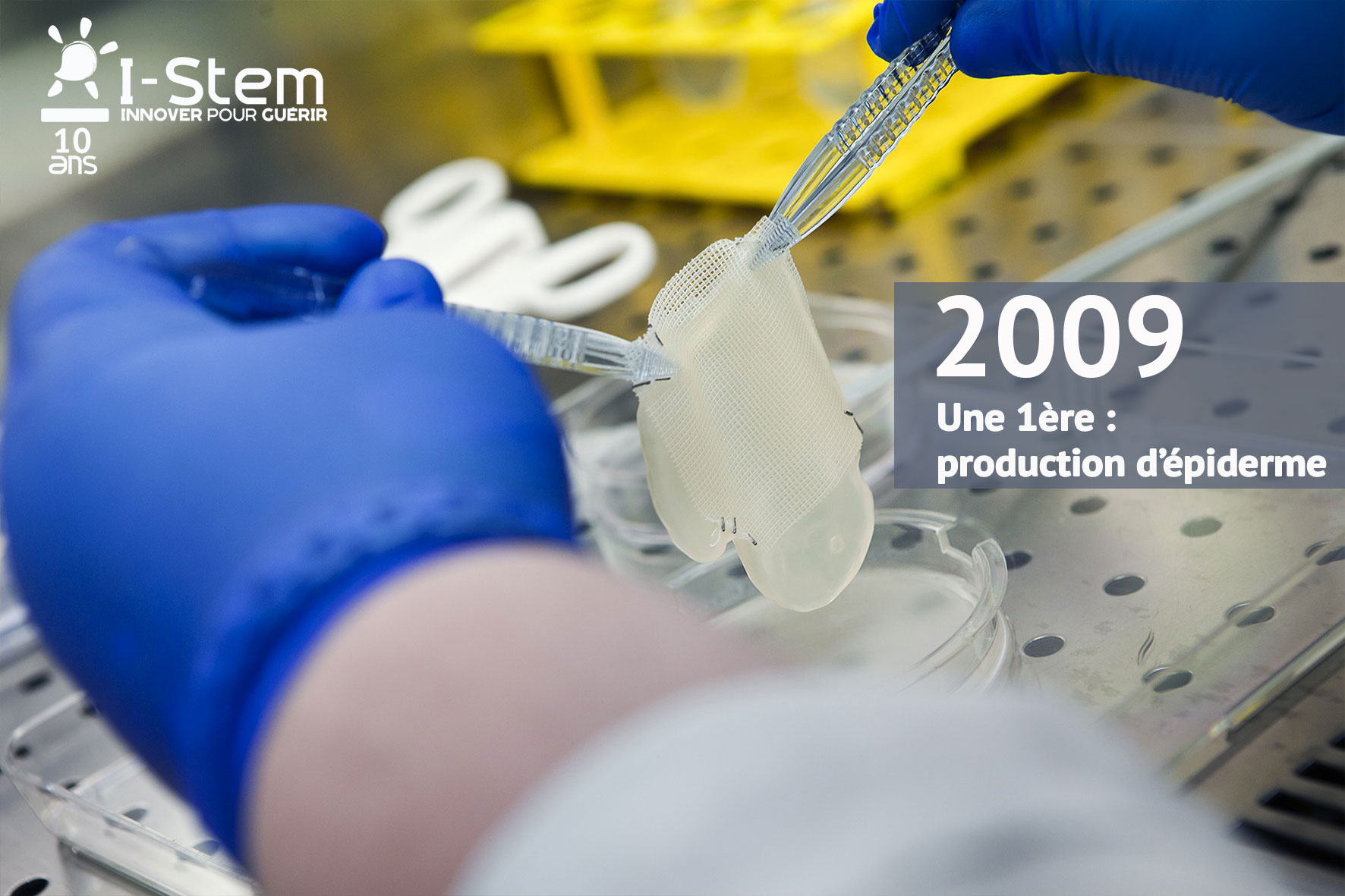 i-stem 10 ans recherche cellules souches