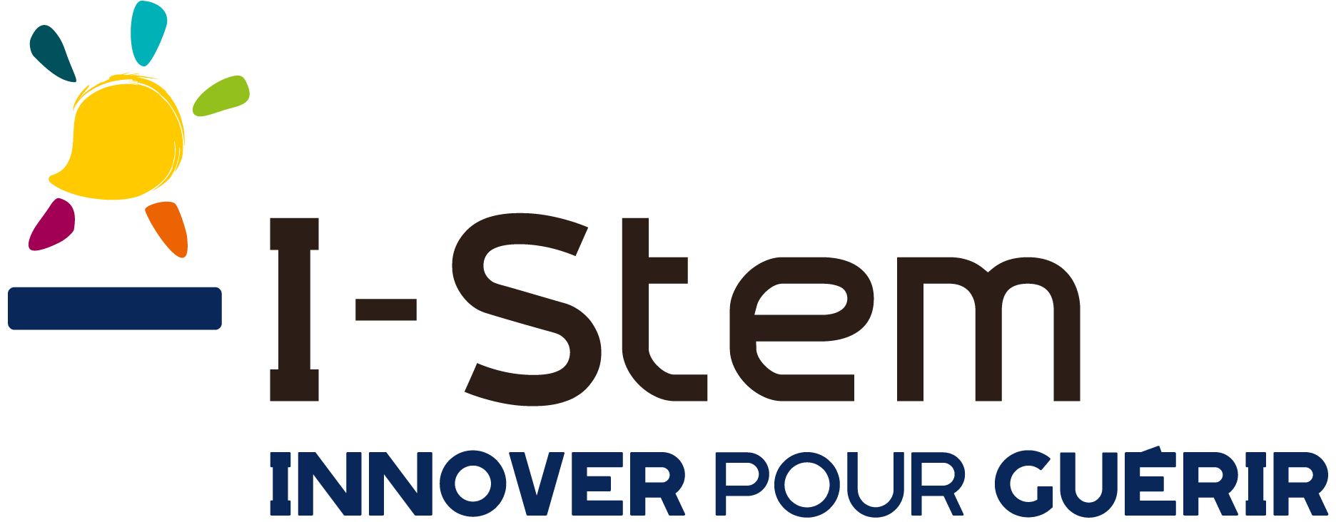 logo istem