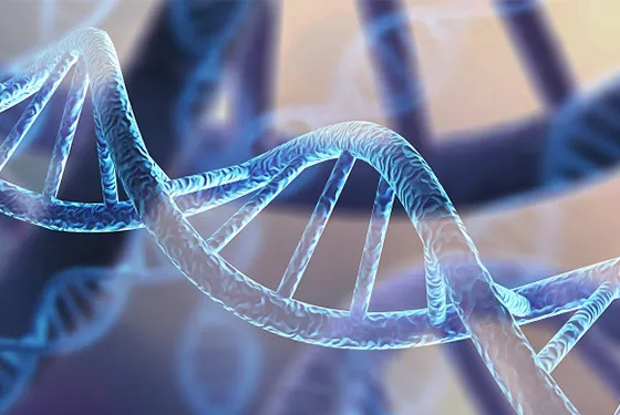 La collecte de données sur les sarcoglycanopathies