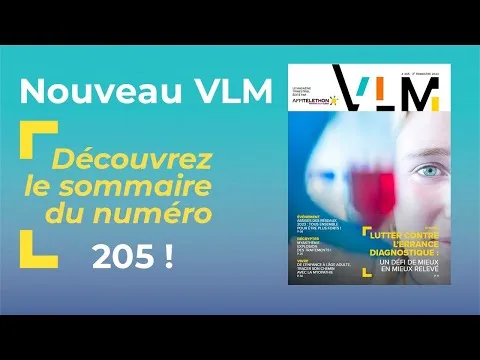 Sommaire de VLM 205