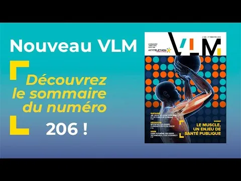 Sommaire du VLM 206