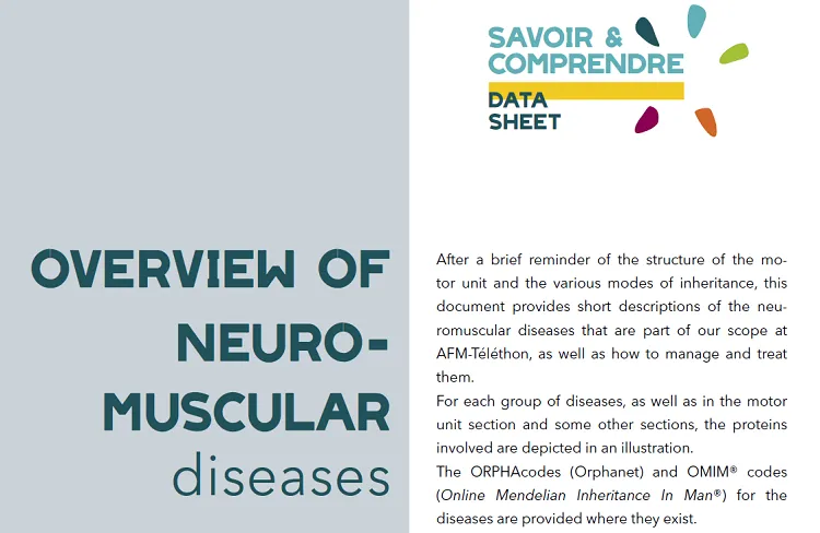 Vignette Actualité - Overview of neuromuscular diseases