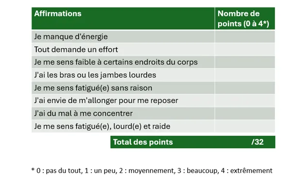 Exemple de questionnaire pour évaluer le dégré de fatigue