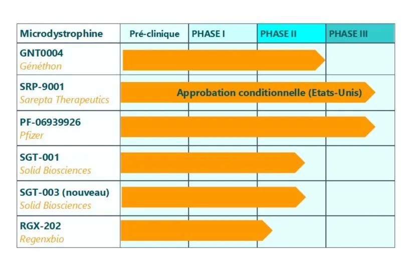 les six AAV-microdystrophine en développement