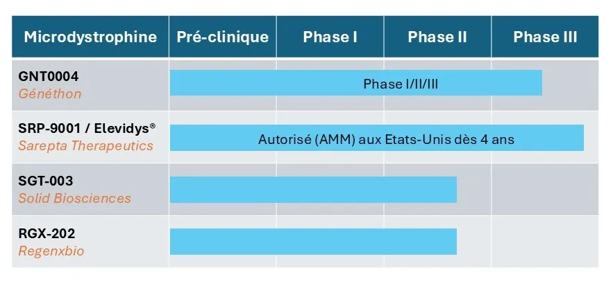 Résumé des quatre thérapies géniques par microdystrophine en essai clinique : le GNT0004 développé par Genethon , en phase I/II/III, l'Elevidys de Sarepta Therapeutics avec une AMM aux Etats-Unis et en essai de phase 3, le SGT-003 de Solid Biosciences qui est en essai de phase I/II et le RGX-202 de RegenxBio, qui est en essai de phase I/II