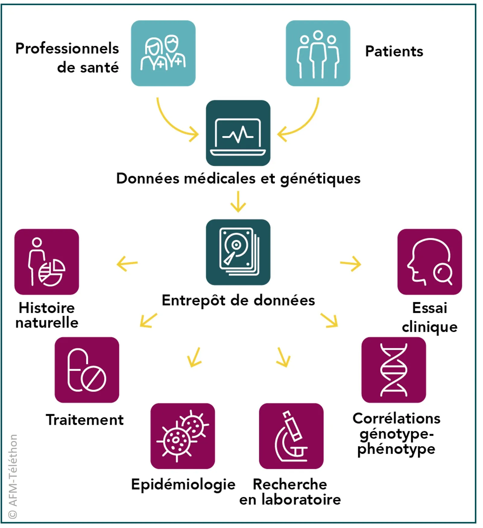 Infographie Base de données