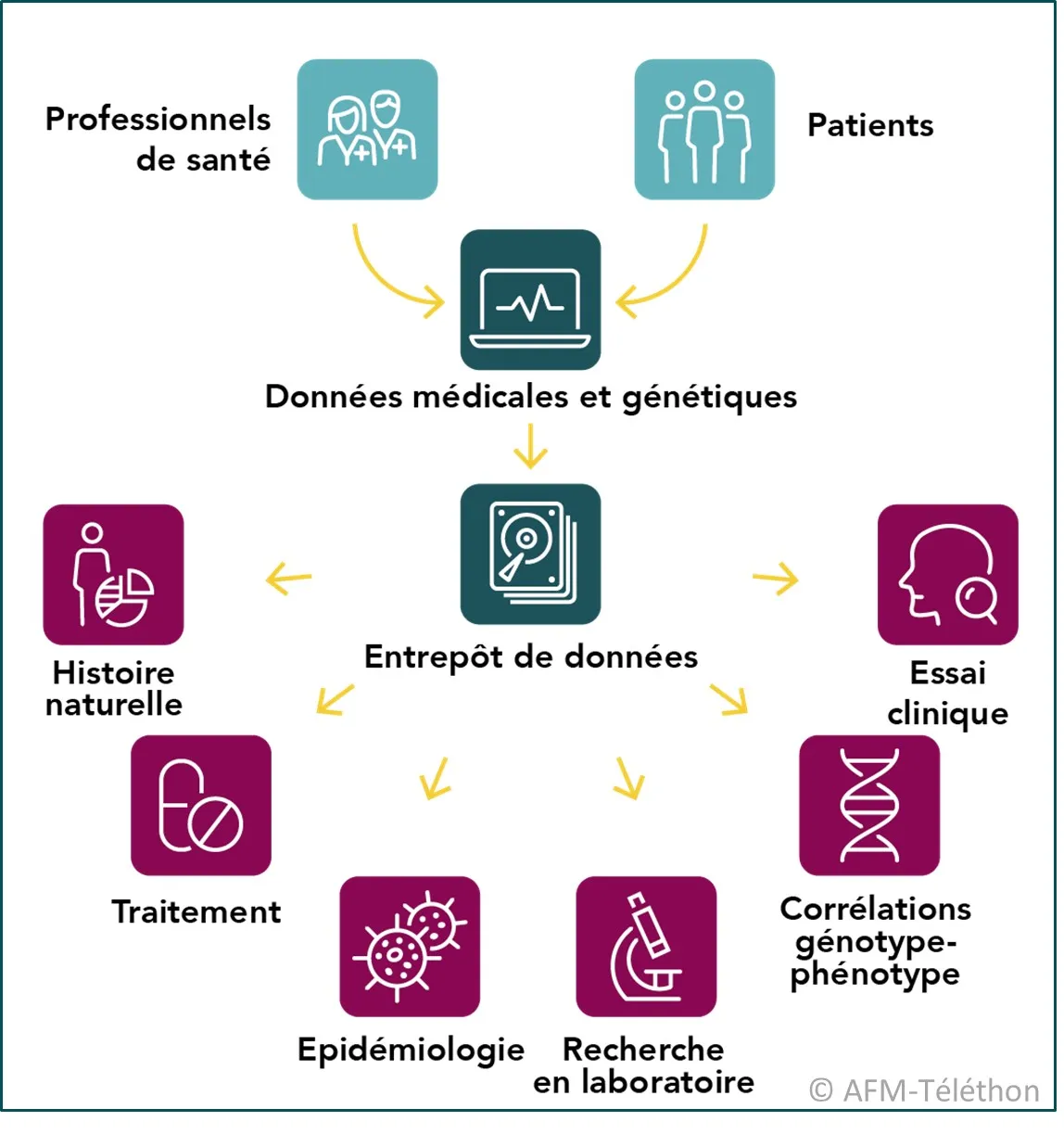 Infographie Base de données