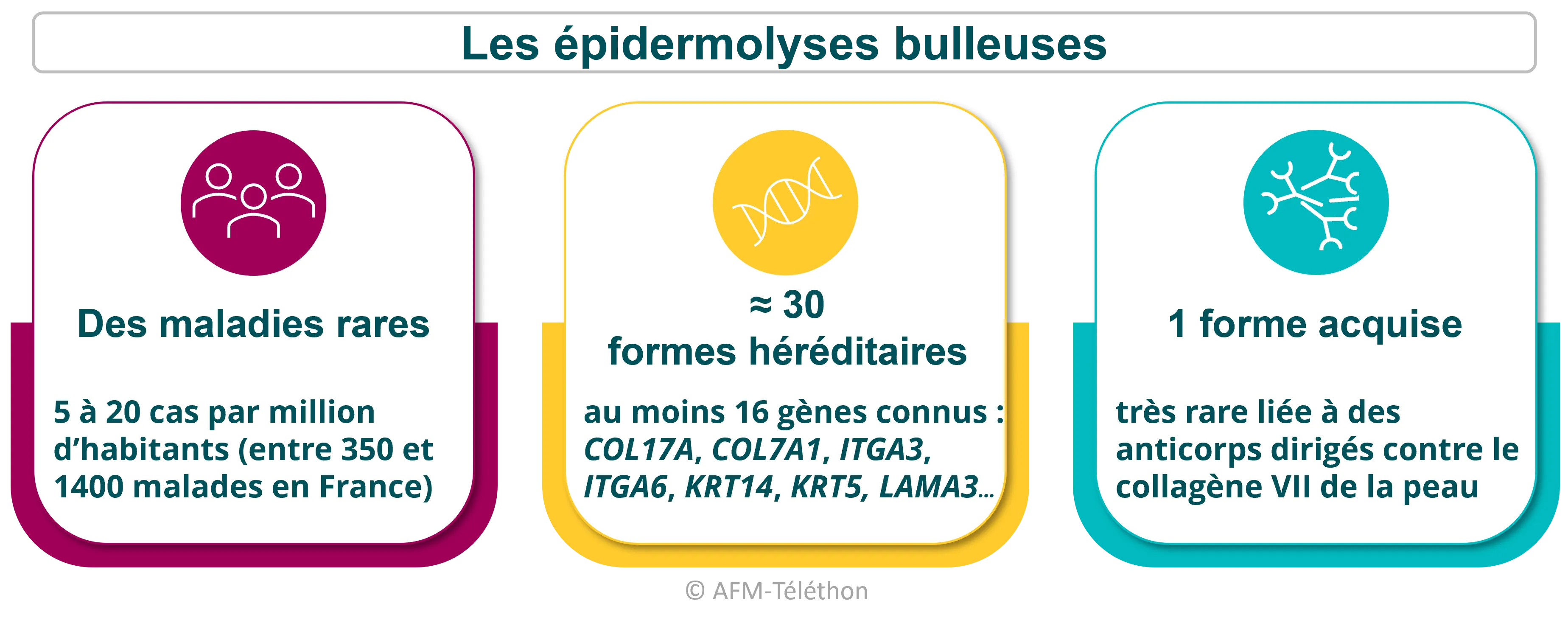 Les épidermolyses bulleuses sont des maladies rares (quelques centaines de malades en France), d’origine génétique pour la plupart (au moins 16 gènes en cause) même s’il existe une forme acquise d’origine auto-immune. 