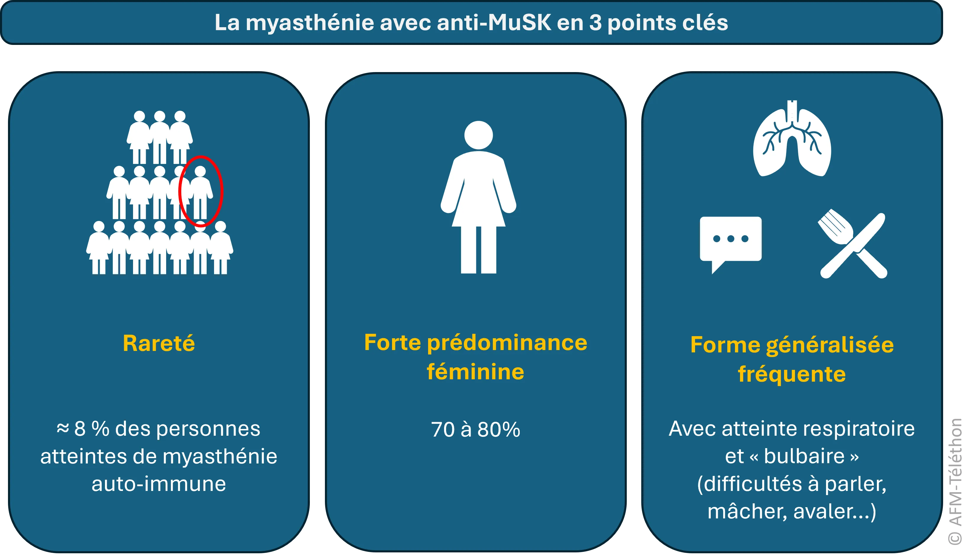 Infographie - La myasthénie avec anti-MuSK en 3 points clés