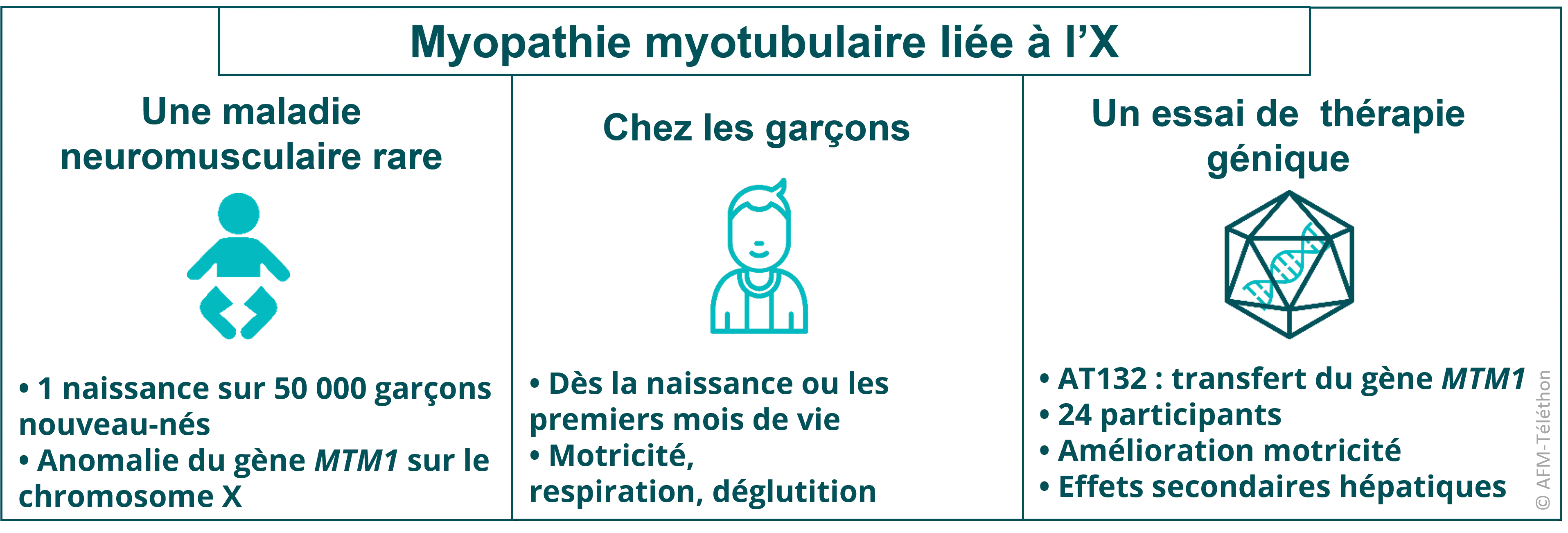 Infographie - Myopathie myotobulaire liée à l'X