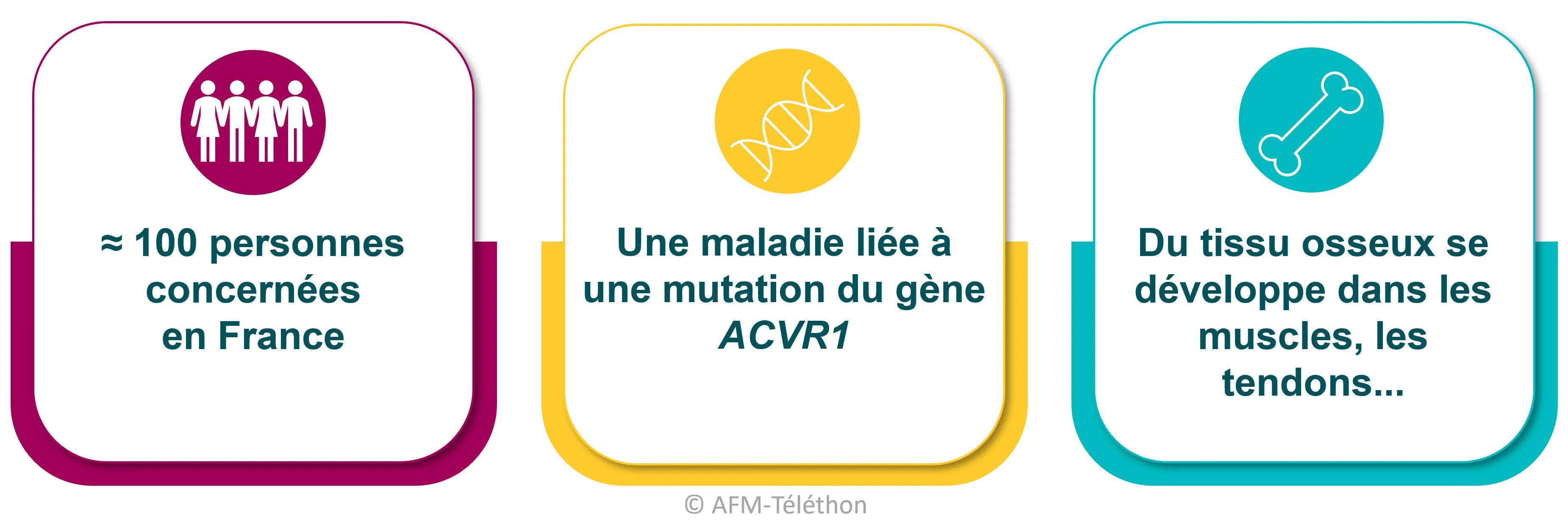 Infographie Fibrodysplasie ossifiante progressive (FOP) : Environ 100 personnes concernées en France. Une maladie liée à une mutation du gène ACVR1. Du tissu osseux se développe dans les muscles, les tendons...