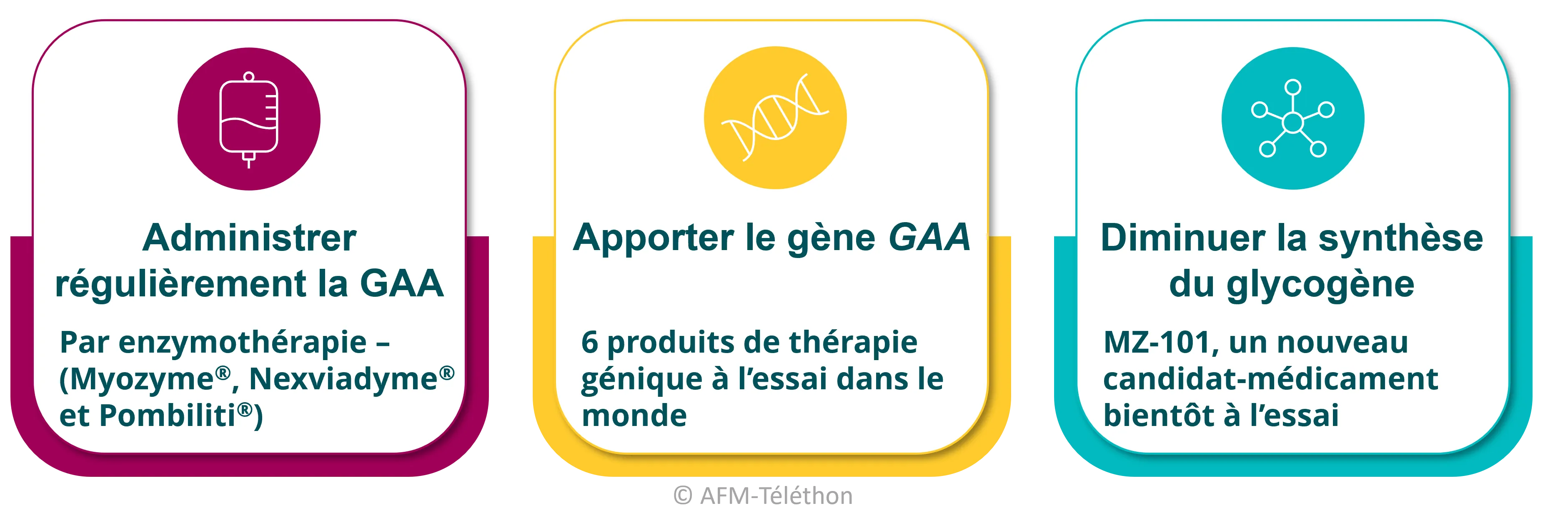 3 pistes possibles : administrer régulièrement une enzyme GAA recombinante (enzymothérapie), apporter le gène GAA par thérapie génique ou diminuer la synthèse de glycogène en inhibant GYS1.