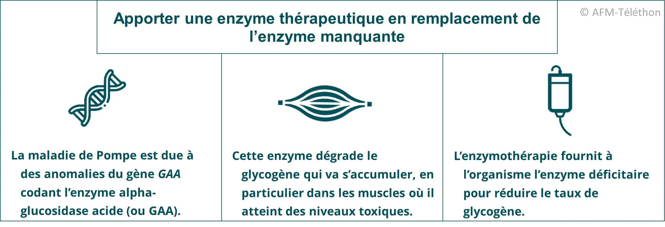 Infographie - Apporter une enzyme thérapeutique en remplacement de l’enzyme manquante