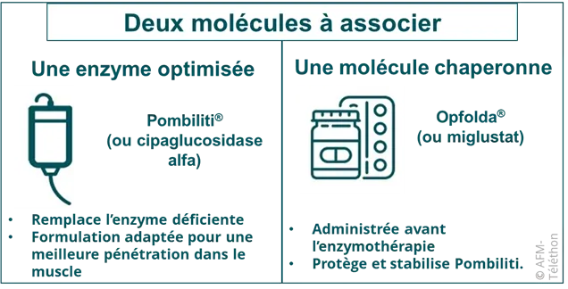 Infographie - Deux molécules à associer