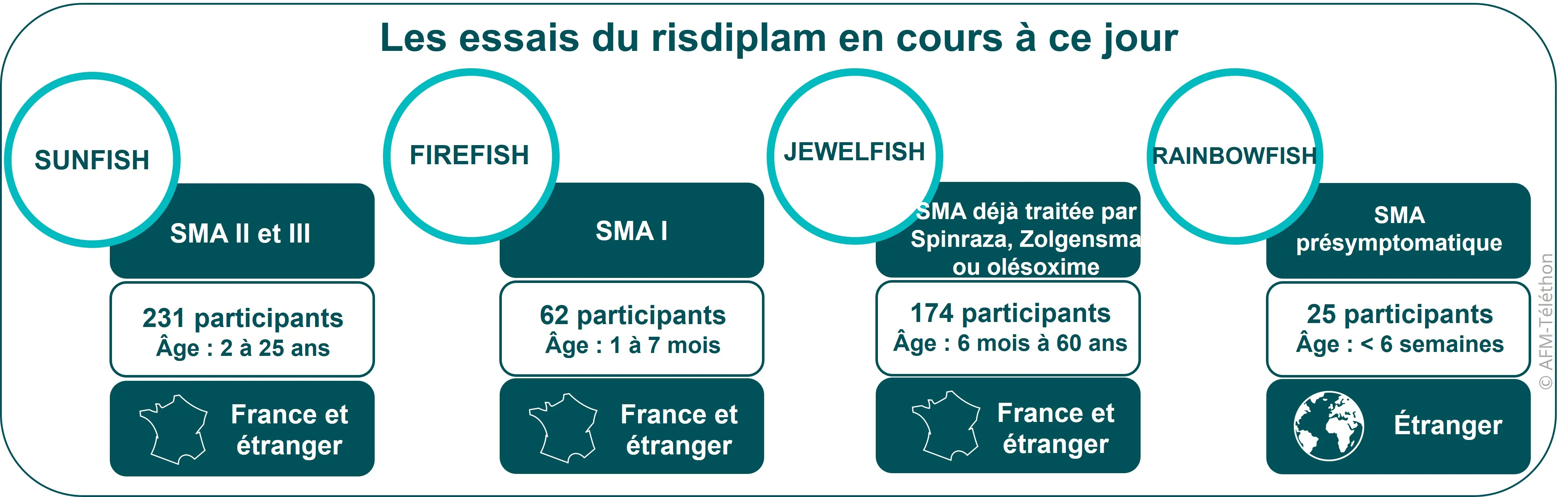 Infographie - Les essais du risdiplam en cours à ce jour