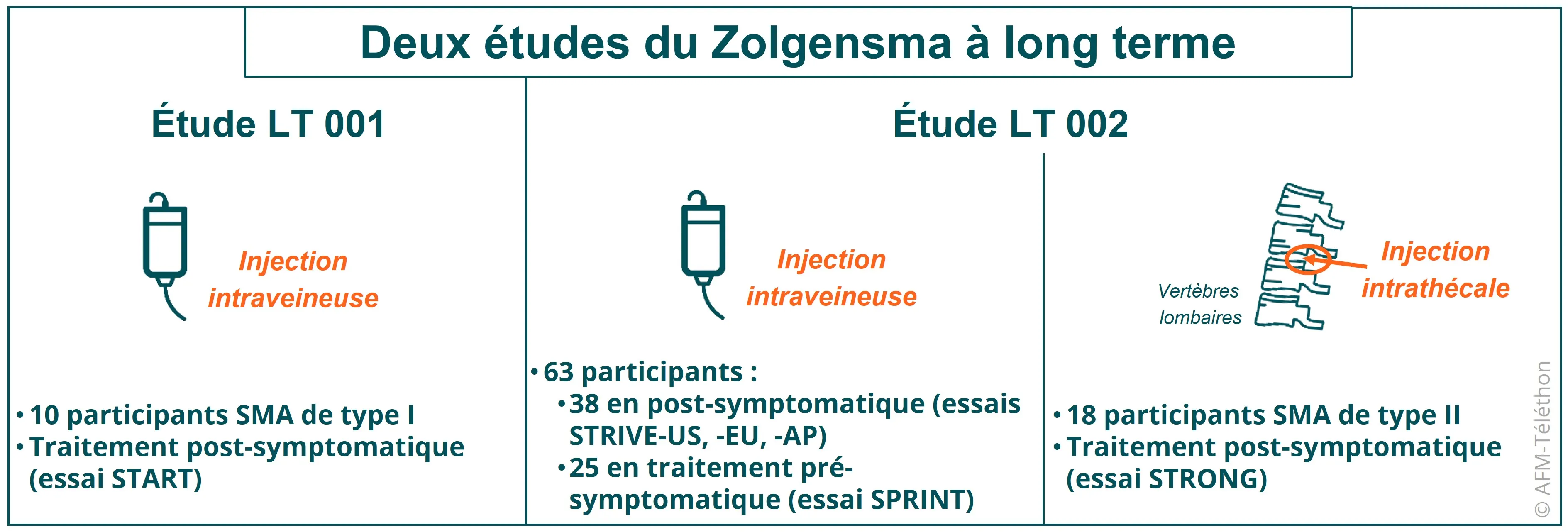 Infographie - Deux études du Zolgensma à long terme