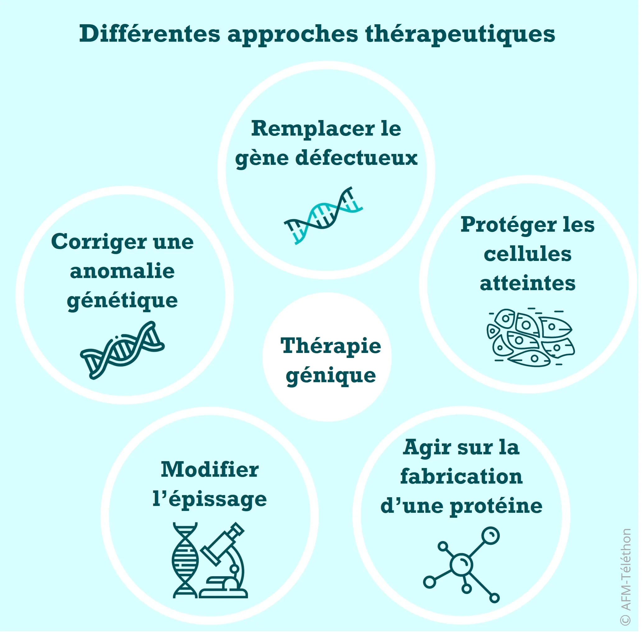 Infographie - Différentes approches thérapeutiques