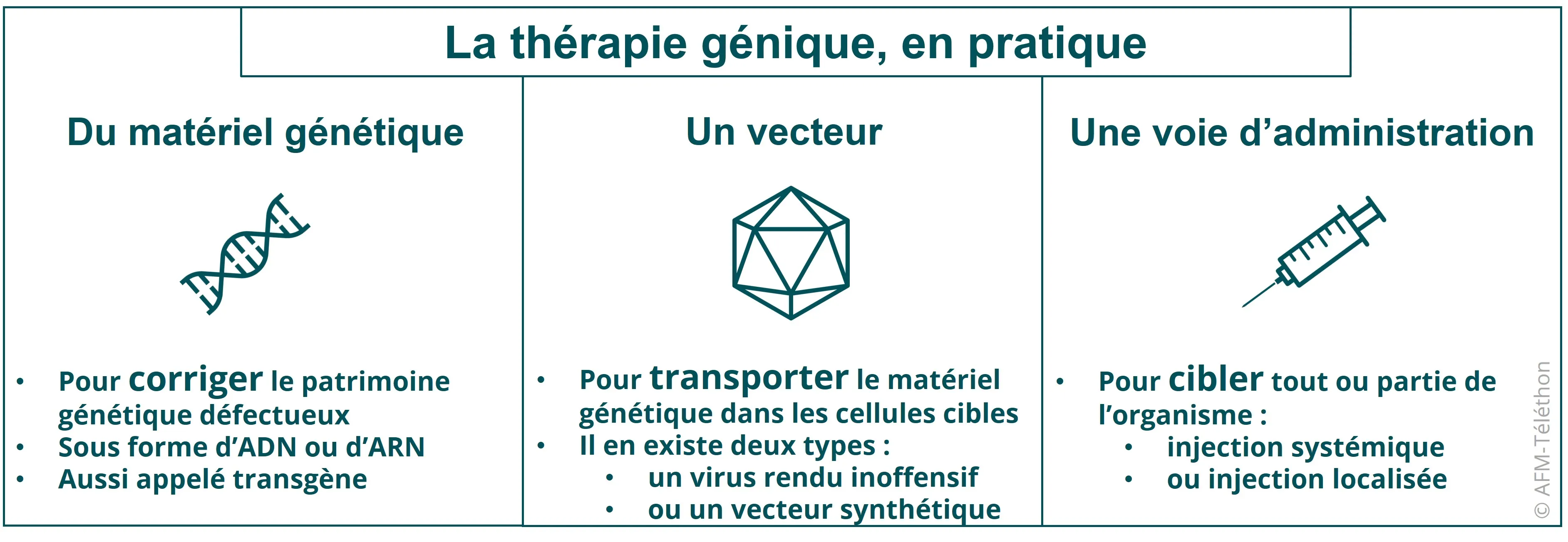 Infographie - La thérapie génique, en pratique