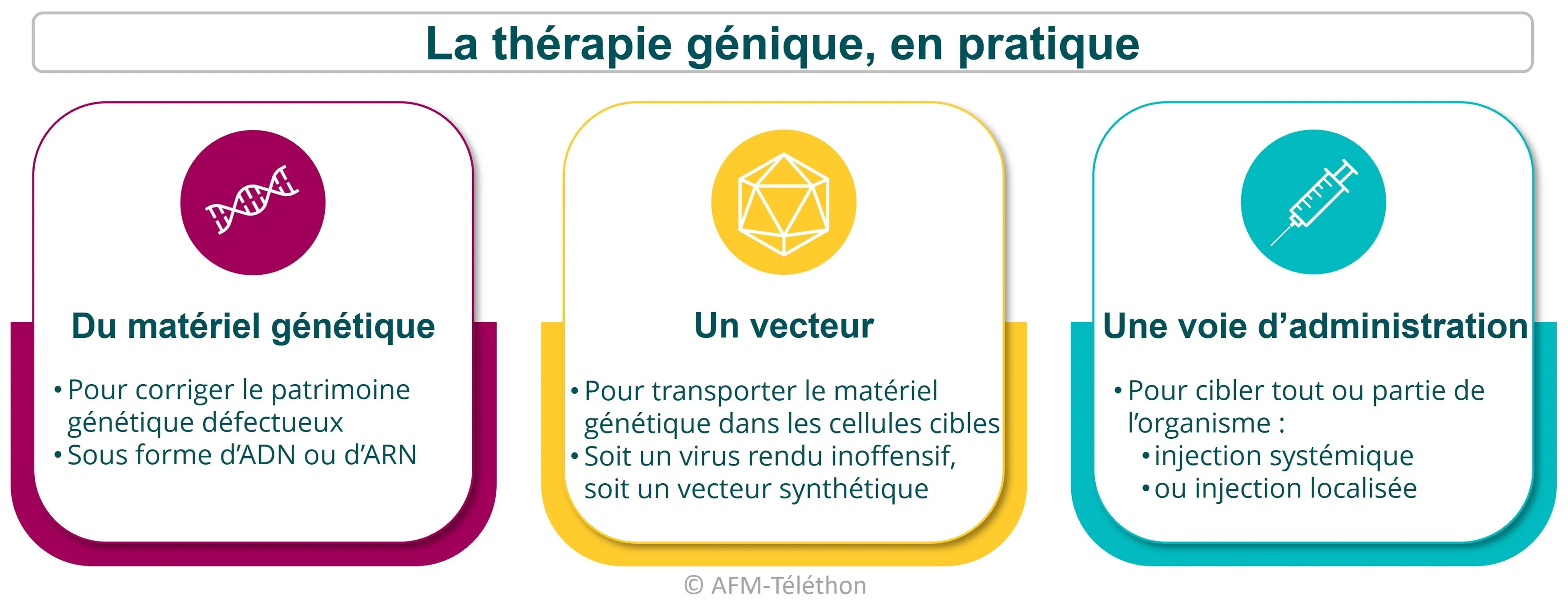 infographie - La thérapie génique, en pratique