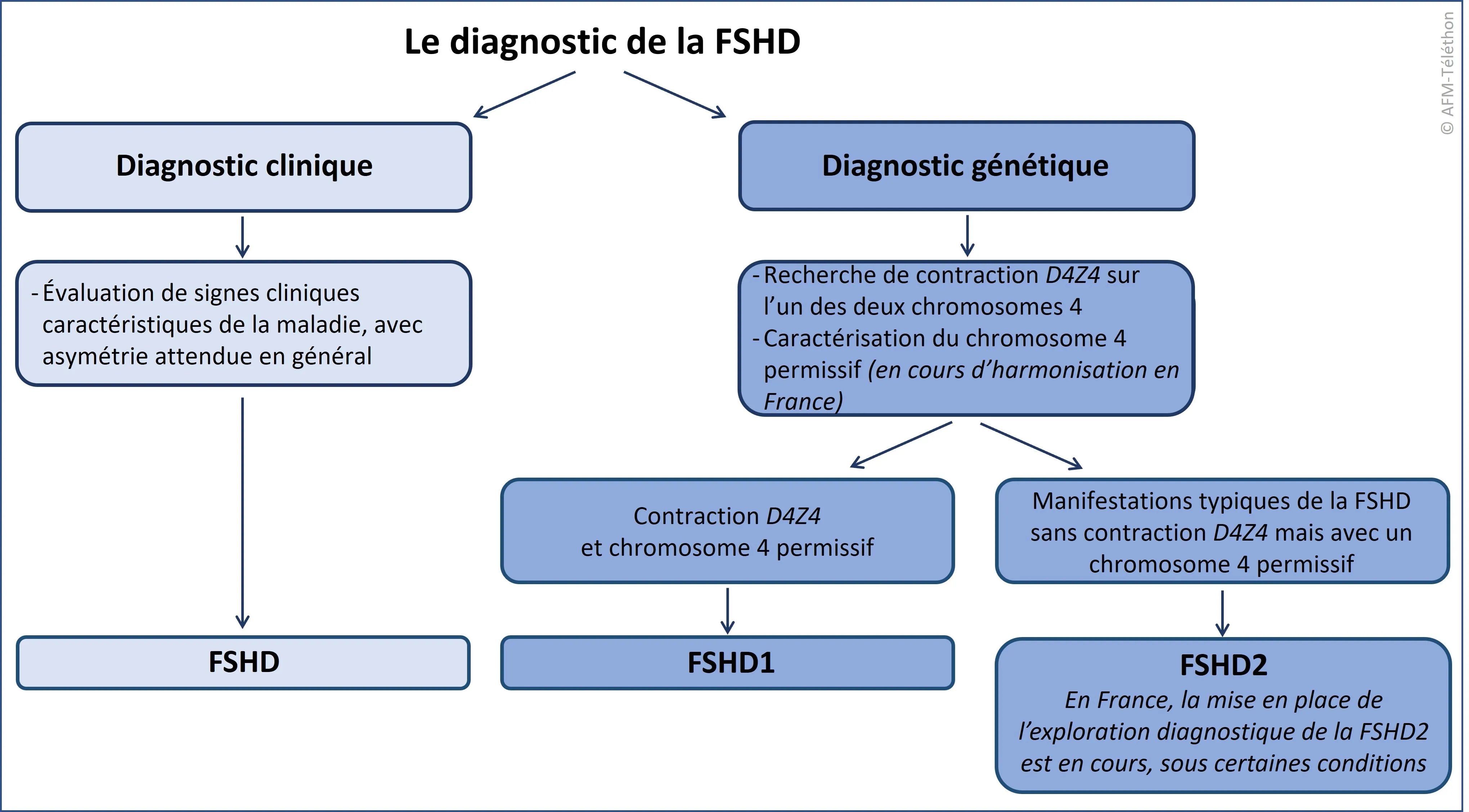 Diagramme diagnostic FSHD