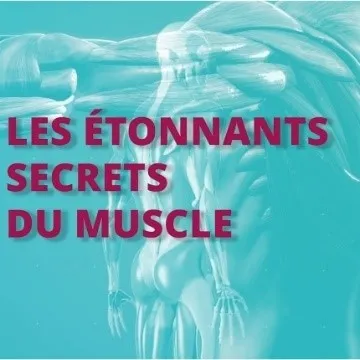 Cet été, musclez (aussi) votre cerveau visuel