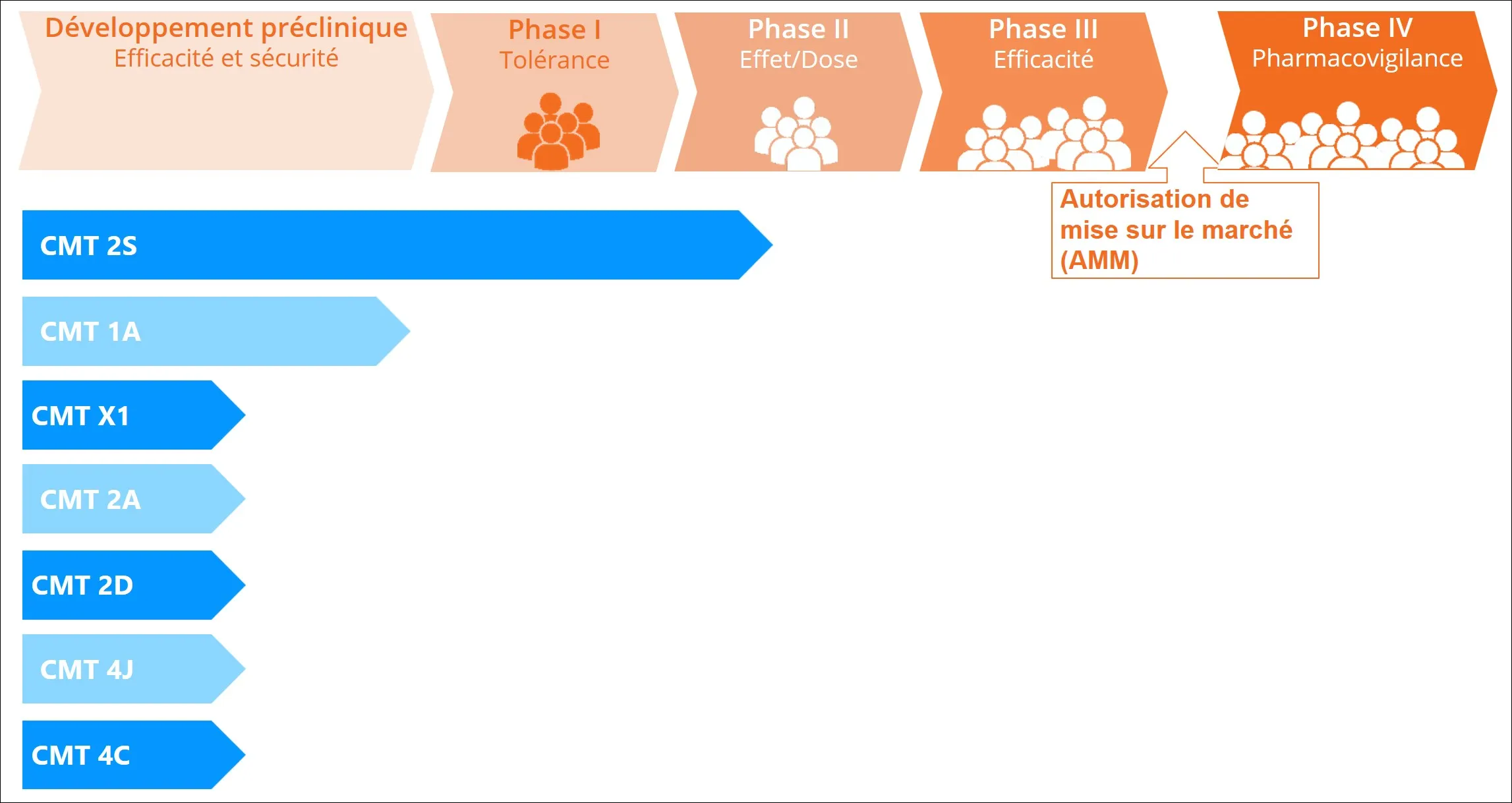 Infographie - Pipeline -TG - CMT