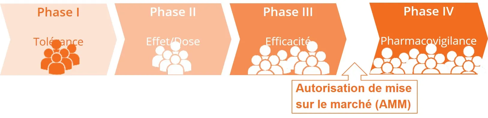 Infographie - Quatre Phases