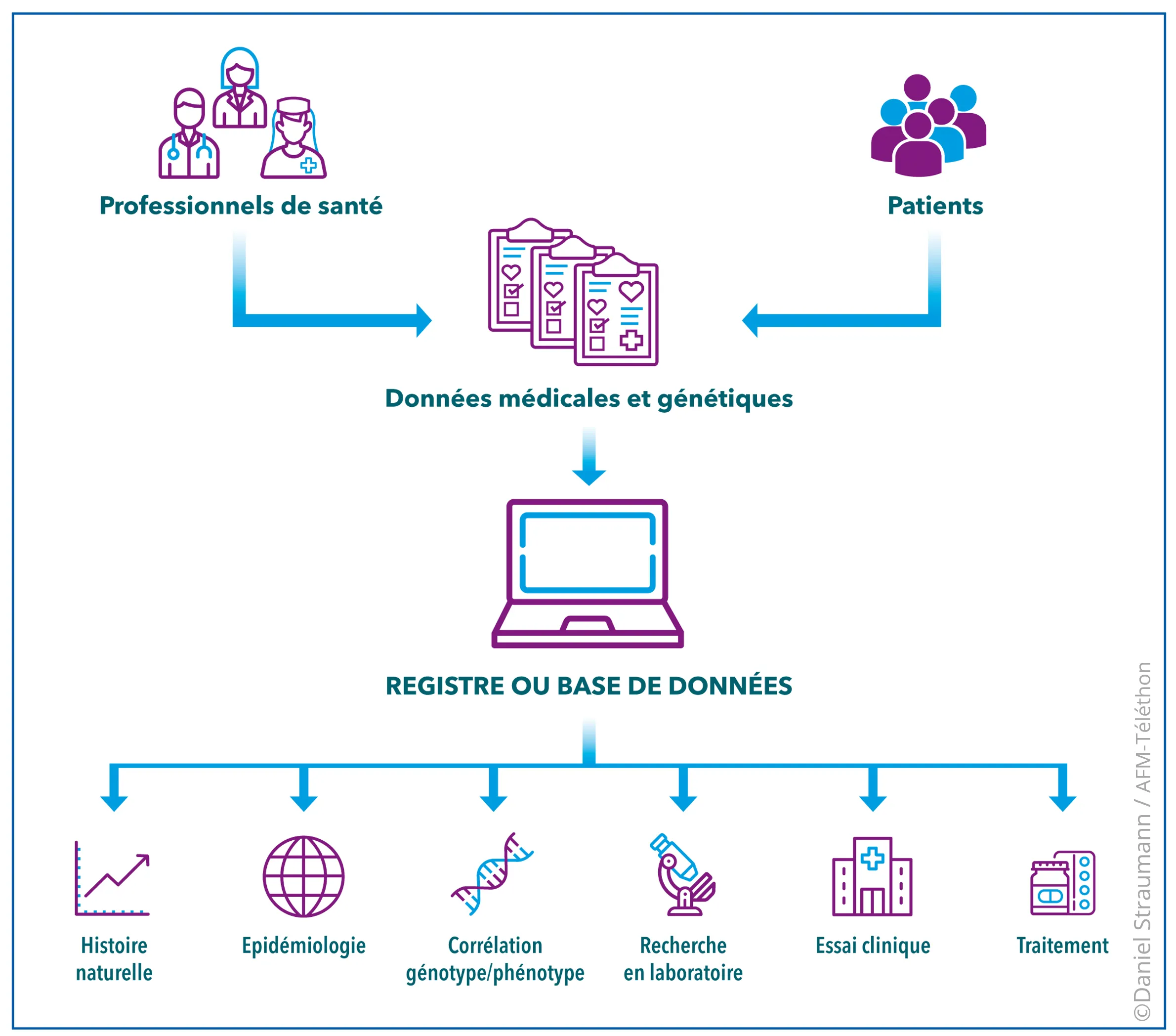 Registres patients et bases de données