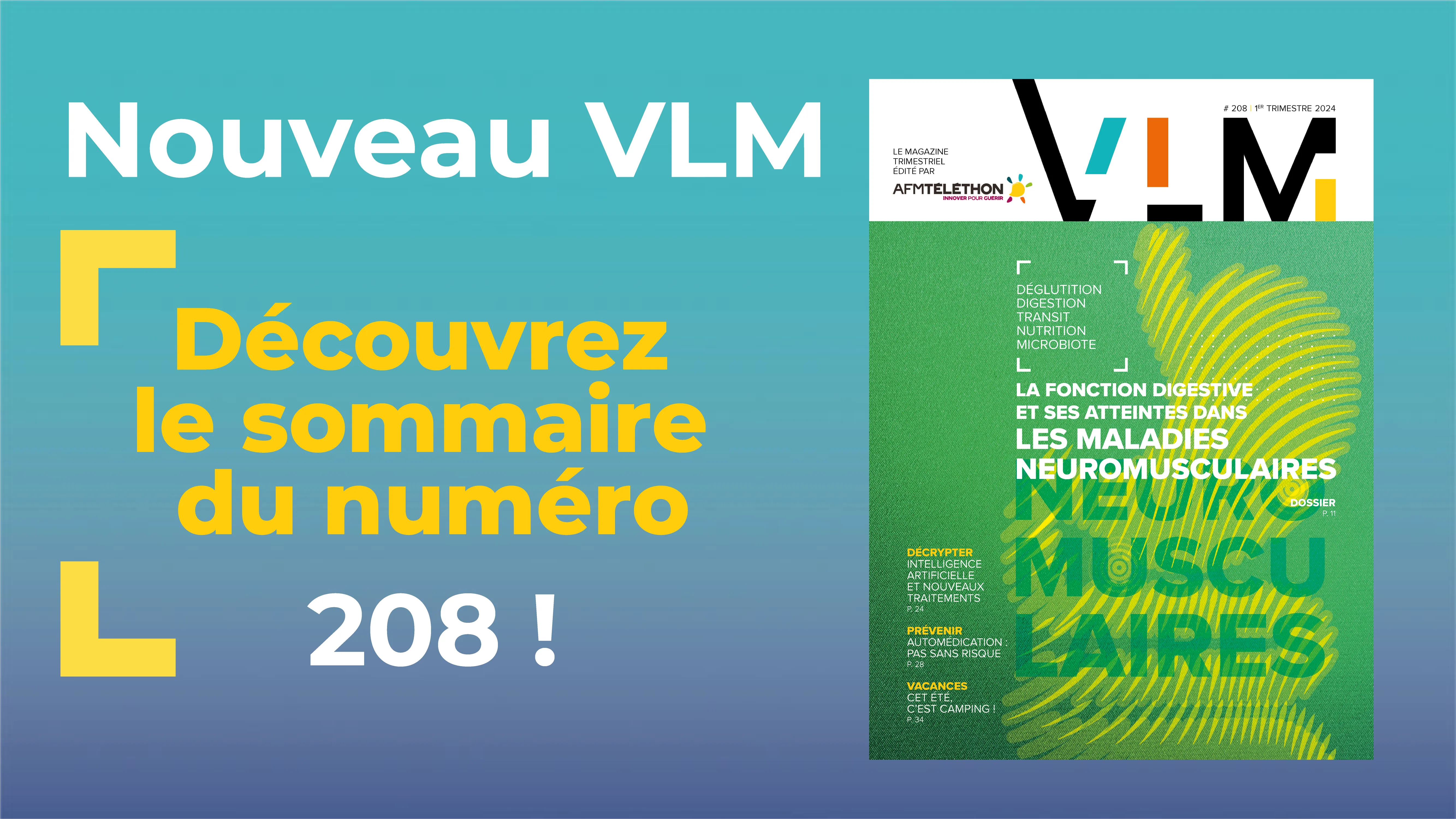 annonce VLM 208