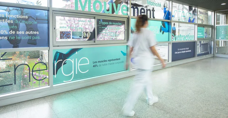 la passerelle de l'institut de myologie