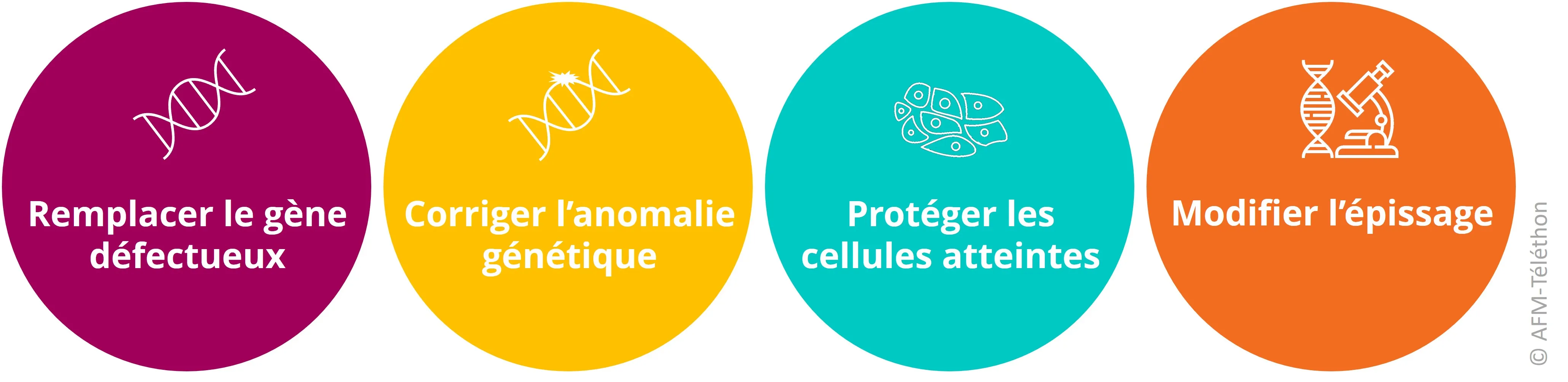 La thérapie génique vise à remplacer le gène défectueux, corriger une anomalie génétique, modifier l’épissage ou protéger les cellules atteintes.